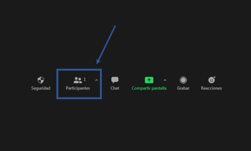 Boton "Participantes" y hacer zoom