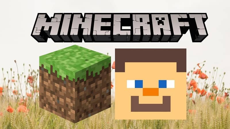Minecraft icono cara de un personaje 