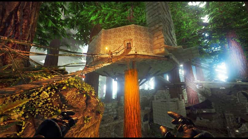 casa del árbol arqueada