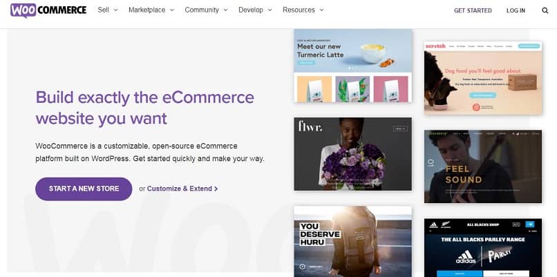 Cómo crear una tienda en línea con WooCommerce en WordPress