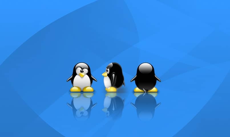 ¿Cómo ver qué directorio de Linux ocupa más espacio?  – Almacenamiento