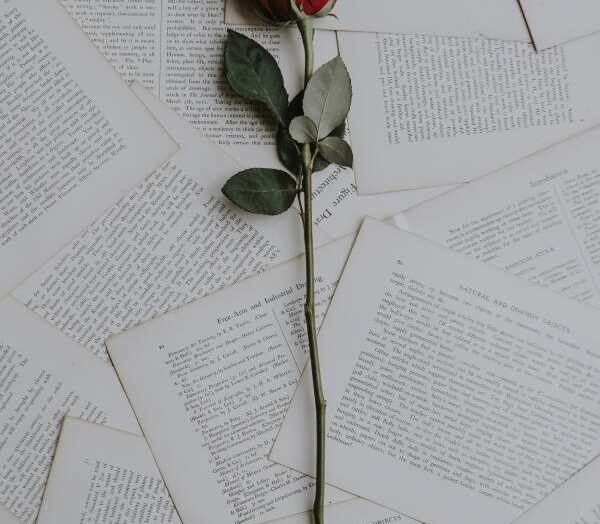 Las mejores citas y frases de San Valentín para inspirarte