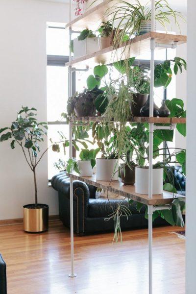 Cómo decorar tu salón con plantas - Biombo